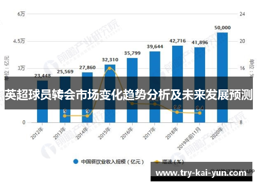 英超球员转会市场变化趋势分析及未来发展预测