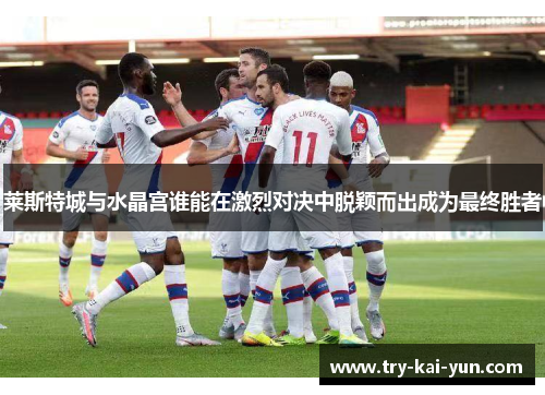 莱斯特城与水晶宫谁能在激烈对决中脱颖而出成为最终胜者