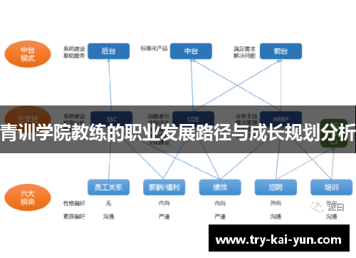 青训学院教练的职业发展路径与成长规划分析